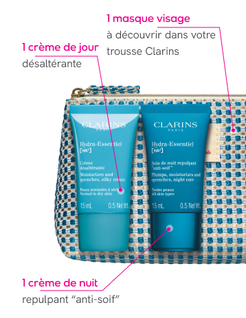 Clarins bag
